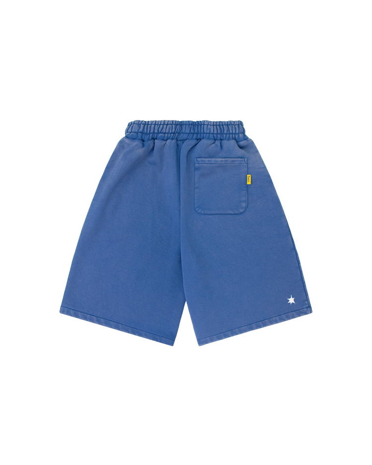 WASHED BLUE DAY2DAY SWEAT SHORTS