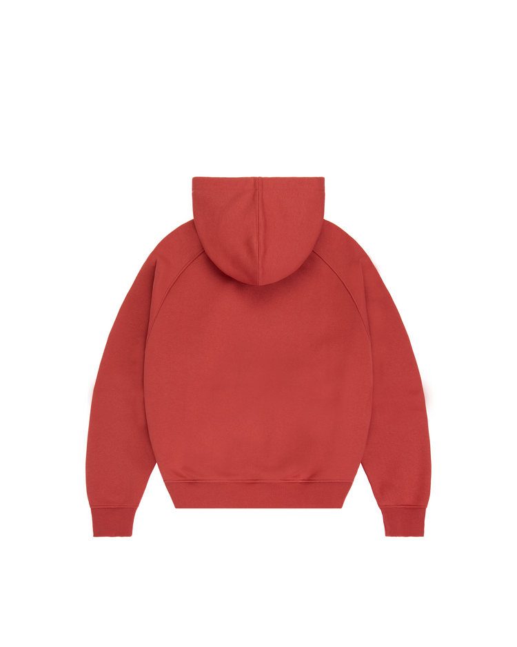 DYT WASHED BRICK HOODIE